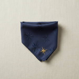 Compass Bandana